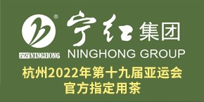 泰安中呼網(wǎng)絡(luò)傳媒logo